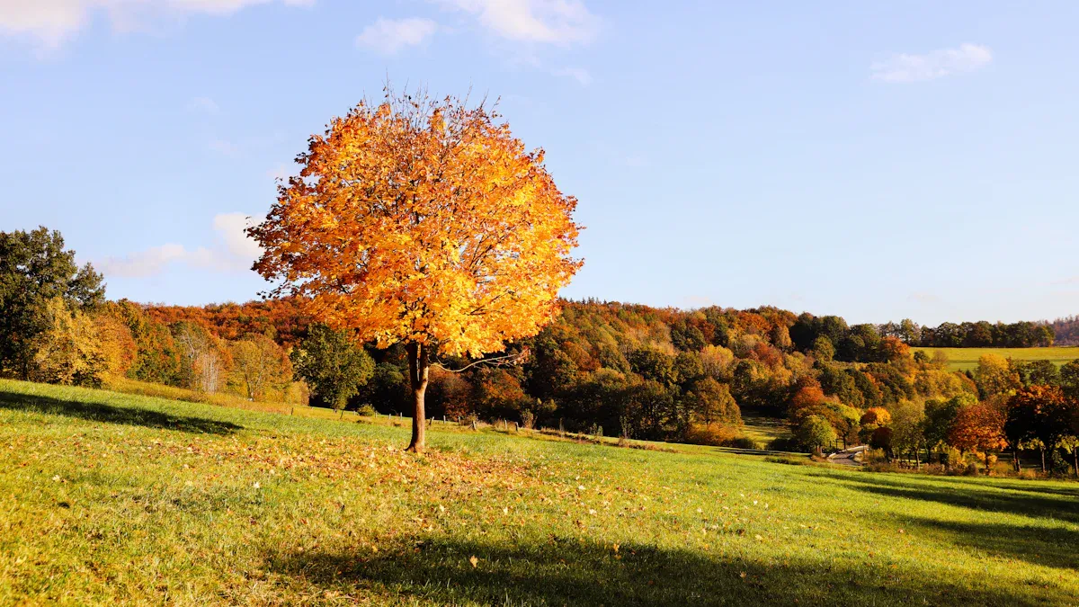 Fall Landscaping Benefits