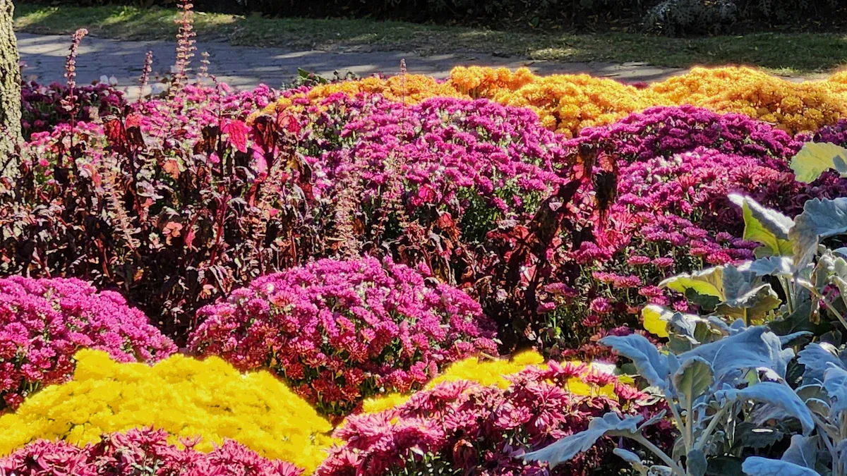 Preparing for Winter and Spring