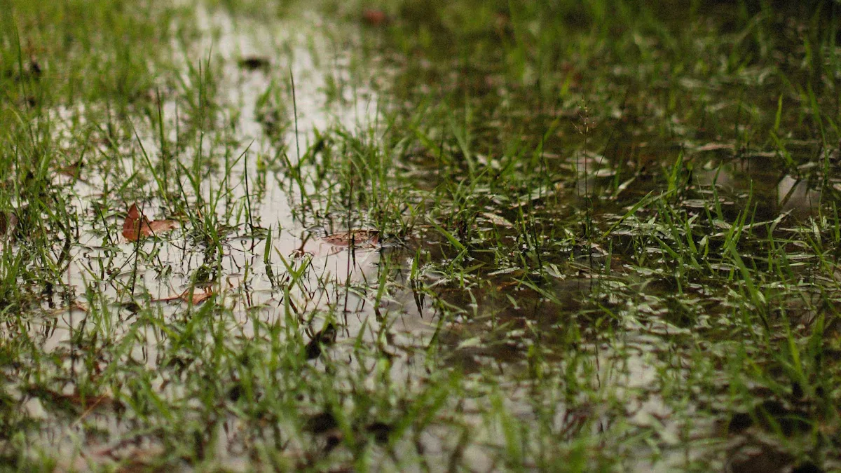 Seasonal Backyard Problems